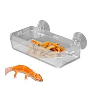 - Cuenco de Comida para Reptiles, Plato de Comida para Reptiles | Borde de alimentación para Reptiles con | Plato alimentario antifugas, Estanque Transparente