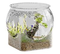 Cuenco de peces - Tanque de peces Betta para acuario transparente - Pequeños acuarios, jarrón de flores, pieza central, acuario de escritorio para tortuga de Betta le dará a su escritorio