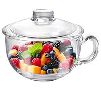 Cuenco de vidrio para cereales con asa, cuencos pequeños transparentes con tapa de cristal, cuencos de avena para desayuno seguro para microondas, arroz, 600 ml/20 onzas