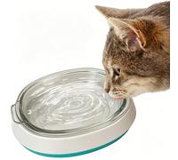 Cuenco de vidrio pequeño y poco profundo para gatitos, cuenco de agua para gatos, gatitos, cachorros, cuenco transparente para alimentación de mascotas, promueve la hidratación de las mascotas, diseño