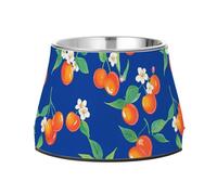 Cuenco elevado de acero inoxidable para gatos con diseño de fruta de cereza de cornalina, color azul real, apto para bigotes