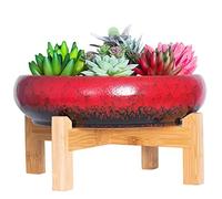 Cuenco Grande para Plantas suculentas con Soporte, Maceta de cerámica para bonsái con Pantalla de Drenaje, contenedor para Plantas de Flores de Cactus