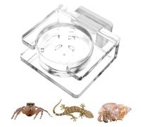 Cuenco magnético para comida para reptiles, comedero acrílico para arañas, cuenco de comida para arañas, plato de alimentación para reptiles, comedero acrílico duradero con base segura, para gecko