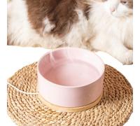 Cuenco para gatos a temperatura constante, agua potable a temperatura constante para gatos, cuenco de agua de cerámica, calentador de agua para perros, calentador de agua, cuenco de agua para mascotas