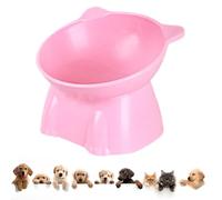 Cuenco para Gatos - Cuenco de alimentación de 10 cm, cuecos de alimentación elevados, cueno de alimentción de PP Inclinado Resistente para Gatos de Interior Cucos de alimentacióon portátiles para