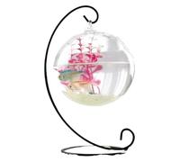 Cuenco para peces, bola de cristal, pecera, pecera, transparente, de mesa, pequeño acuario, negro, mediano