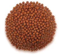 Cuentas de Rudraksha (500 Unidades) - Perlas o abalorios naturales de 8mm para Japa Mala, Bisutería, Pulseras, Manualidades y Artesanía - Material para Joyas Espirituales