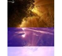 Cuentos Para Niños Que Sueñan Con Cambiar El Mundo