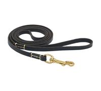 Cuerda Ajustable con Mango ergonómico, Cuerda de tracción para Caminar para Razas Medianas y Grandes, Entrenamiento al Aire, Uso en el jardín del Parque para pasear al Perro de Forma Segura y