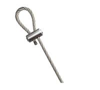 Cuerda de Alambre Cable de suspensión acero inoxidable ajustable 2,0/3,0/4,0 mm con cerradura, kit fijación expandible, iluminación(Clear,1.5M)