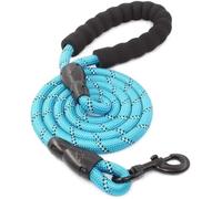 Cuerda de Arrastre para Perros, Correa de Perro Fuerte Correas for Mascotas Reflectante for Correa Grande, pequeña, Mediana y(Blue,1.0cm 300cm)