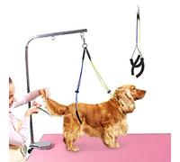 Cuerda de mesa de aseo para mascotas, correa de aseo ajustable para cuello de mascotas y soporte para el vientre, juego de correa para el vientre para mesa de aseo de mascotas, bucle de aseo para