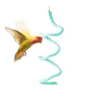 Cuerda de pez perca para cuerda de pájaros - Flexible Parrot Climbing Rope,Sticking stick cockatiel juguete de pie masticación de algodón multicolor