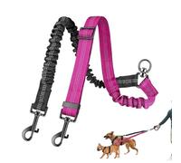 Cuerda de tracción para mascotas: correa reflectante doble para cachorros para caminar de forma segura, diseño duradero sin nudos con agarre cómodo, ideal para razas de perros pequeñas y grandes