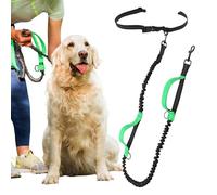 Cuerda para caminar para perros, cuerda manos libres para perros - Cuerda elástica para perros de tracción | Cuerda para perros manos libres, cuerda reflectante para perros, cuerda para caminar y