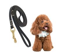 Cuerda para perros al aire libre - Corredor de perros para patio resistente | Perro para perros grandes | Correa de perro para todos los perros | Correa larga para perros pequeños, medianos y grandes