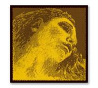 CUERDA VIOLONCELLO - Pirastro (Evah Pirazzi Gold 335320) (Tungsteno) 3ª Medium Cello 4/4 (G) Sol (Una