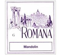 Cuerdas para mandolina Romana G .032w