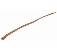 Cuerno de buey, suelto 70-80 cm