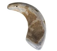 Cuerno de búfalo para perros - Duvo Plus - Tamaño: XL