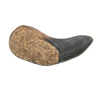 Cuerno de búfalo relleno - Trixie