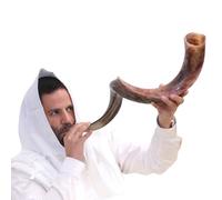 Cuerno kosher Kudu Shofar de Israel de 36 a 39 pulgadas, tradicional medio pulido, shofar yemení, voz sagrada, instrumento musical judío antiguo fácil de soplar.