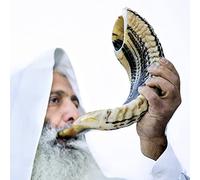 Cuerno kudu shofar kosher de Israel de 14 a 16 pulgadas, tradicional medio pulido, incluye bolsa de transporte, cepillo, spray antiolor y guía de soplado, instrumento musical judío antiguo