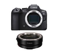 Cuerpo Canon R6 Mark II + Adaptador de montura EF-EOS R nuevo