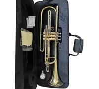 Cuerpo De Latón Tubo De Afinación De Cuproníquel Trompeta Profesional De Tono Bb De Bajo Lacado En Oro