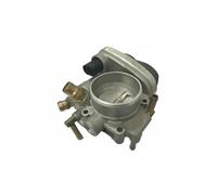 Cuerpo de mariposa MAGNETI MARELLI 802000000066