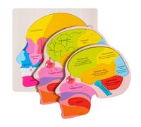 Cuerpo humano para niños, juguete de anatomía para niños, rompecabezas de anatomía para 3-5, sierra esquelética detallada interactiva educativa para el desarrollo cognitivo experimentos prácticos