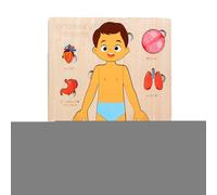 Cuerpo humano para | Rompecabezas de madera educativa del cuerpo humano | Juguetes de aprendizaje para viajes adecuados para el juego de enseñanza