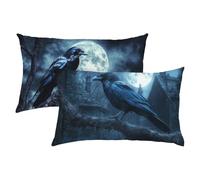 Cuervo Fundas Cojines 40x60 Terciopelo Juego de 2, Lujosas Funda Cojin Negro Súper Suaves y Cómodas, Funda de Almohada con Cremallera Oculta, Fácil Cuidado, Adecuado para Sofá, Cama, Silla S-350