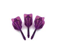 CUESOUL Rost Ejes de Dardos Integrados Personalizados y vuelos de Dardos medianos, Juego de 3 Piezas de patrón de Belleza (CSAK-5MN5)