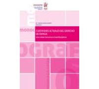 Cuestiones actuales del Derecho de Familia. Una visión inclusiva e interdisciplinar (Monografías)