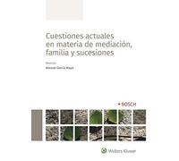 Cuestiones actuales en Materia De mediacion, Familia y Sucesiones (DERECHO)