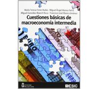 Cuestiones básicas de macroeconomía intermedia (Libros profesionales)