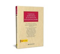 CUESTIONES PROBLEMÁTICAS EN LA INSTRUCCIÓN DE LOS PROCESOS PENALES (Estudios)