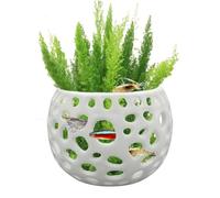 Cueva de acuario: espacio de escondite hueco para peces y peces que luchan, refugio de cría para acuarios, decoración de acuarios de aspecto natural | Para peces que descansan y se esconden, leche