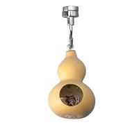 Cueva de araña saltando - Magnetismo Casa naturalista para arácnidos | Calabazas hechas a mano con escondites seguros y características decorativas de hábitat para pequeños reptiles mascotas exóticas