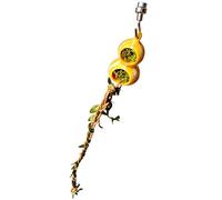 Cueva de araña salteadora - Decoración terraria de 2 pulgadas | Adorno magnético de PVC - Decoración magnética para tanque de reptiles con lugar de descanso de escalada para arañas saltadoras,