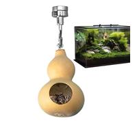 Cueva de arañas saltadoras, recinto de arañas saltosas | Caja de araña salteadora de Gourde Natural con magnetismo | Embarazada para arañas salteadoras de calabaza Natural