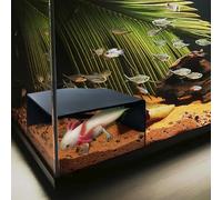 Cueva de Esquina para Acuario, Accesorios para pecera, Cueva de cíclidos, escondite de Acuario con Ventana de visualización, terrario/Acuario, Cueva Natural subterránea