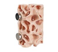 Cueva para Reptiles | Escondite Magnético para Reptiles,Hábitat para Geckos - para Terrarios de Escalada para Arañas y para Mascotas Pequeñas como Ranas, Geckos y Anfibios