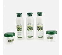 Cuidado de aceite de oliva Set 5 piezas Champú Loción Crema Caja de Regalo