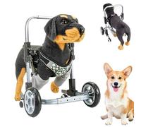 Cuidado de Mascotas Silla de Ruedas para Perros, Silla de Ruedas de 4 Ruedas para Las Patas Delanteras, Andador Asistido para Mascotas para Perros Discapacitados, Mayores, Lesionados o Paraliticos M