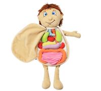Cuifati Conjunto de Juguetes de Peluche Modelo Muñeca de órgano del Cuerpo Humano, Estructura de órganos Extraíbles con Material de Poliéster Seguro, Tamaño 49 * 33 * 6 Cm, Adecuado para (#2)