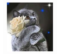 Cukol Punto de Cruz Kit Completo Esquemas 11ct Gato y Rosa, Patrones Cuadros Kit Punto de Cruz con Hilos y Tela Impresa Impreso Completo Contado Principiantes, Cross Stitch Kit Bordado Principiantes