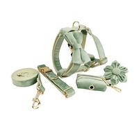 CulineformX Collar para Perros Leash 6 Piezas, Menta Verde, Franela, Combinación De Metal Dorado, Perros Medianos Y Grandes, Traje De Moda De Primavera