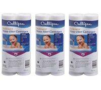 Culligan P5 Whole House - Filtro de agua premium, 8,000 galones, paquete de 3, se vende como 6 filtros